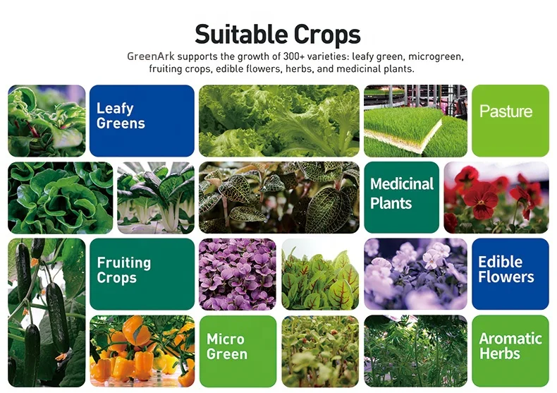 Sprinkler System For Farm Rockwool Blanket Grow Box Led Indoor Hydroponic System For Commercial Lettuce Planting