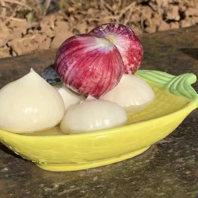 100% Natural Ripe Single Head Garlic Wholesale Price Now Digging Fresh Purple Garlic Wet and Dry Farm Vegetables