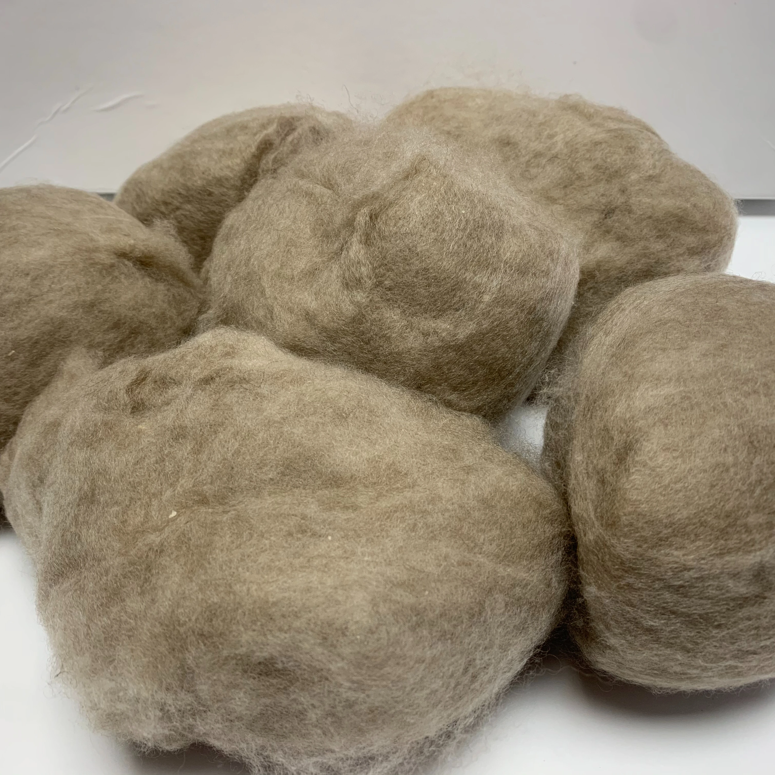 Precious Raw Mongolian Brown Roving Dehaired Cashmere Tops Cashmere Fiber superfine 16.5/6