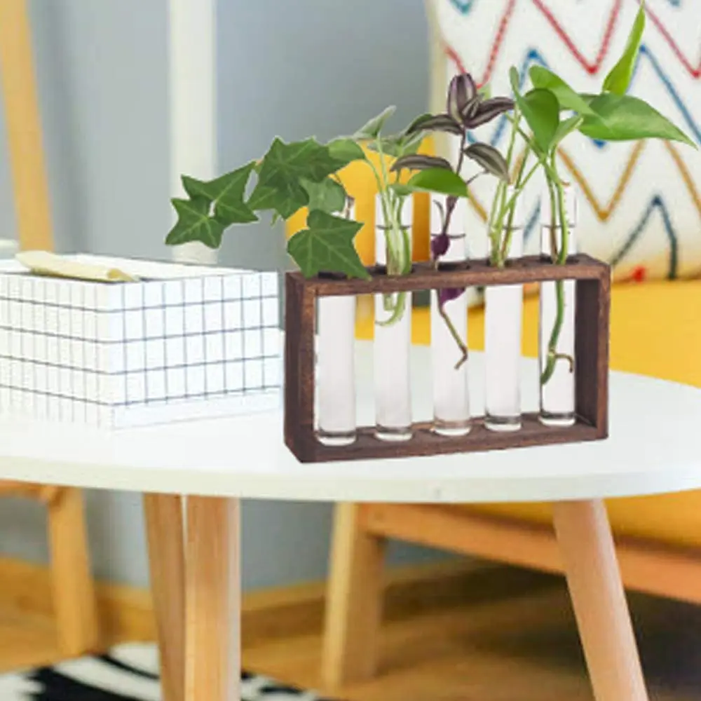 Plant Terrarium with Wooden Stand, Wall Hanging Glass Planter Propagation Station with 5 Test Tube