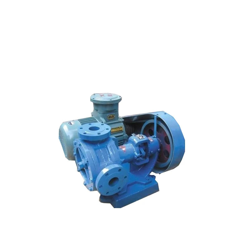 Stainless steel high viscosity health molasses pump can be used explosion proof motor