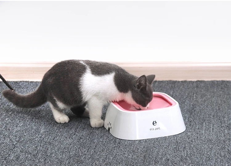  Eco-Friendly Chinese Supplier Plastic Bowl Pet Salad Microwavable Floating Bowls For