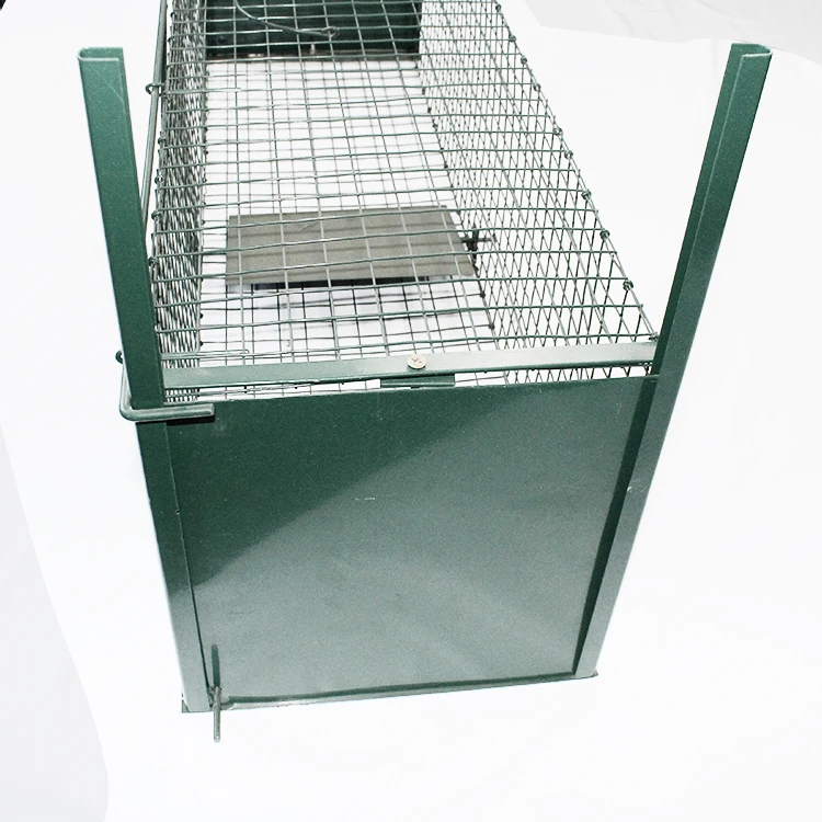 Chuanghui Sell Safe Foldable Pigeon Live Catch Release Animal Trap Cage