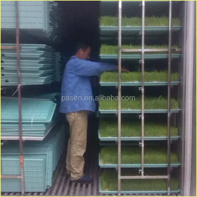 Green Forage Grass Sprouting Machine Livestock Green Fodder Growing Container with Cooling Water Spraying System