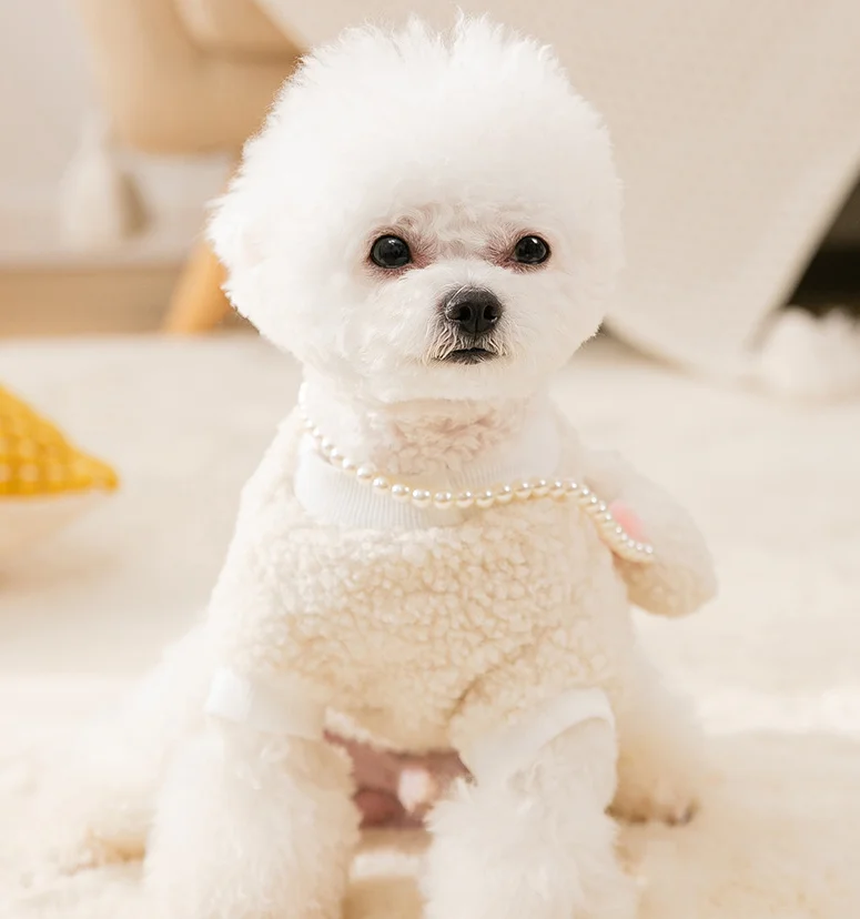 Wholesale spring autumn ropa para perros luxury cooling dog vest rainbow pet clothes