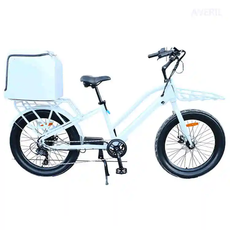 2023 New Bike 2 Wheel Removable Battery Pedal 500w Fat Tire Cargo High Quality with Good Price