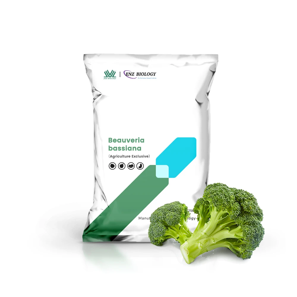 2021 Hot sale products Powder 5 Billion Beauveria Bassiana for Plant Growth