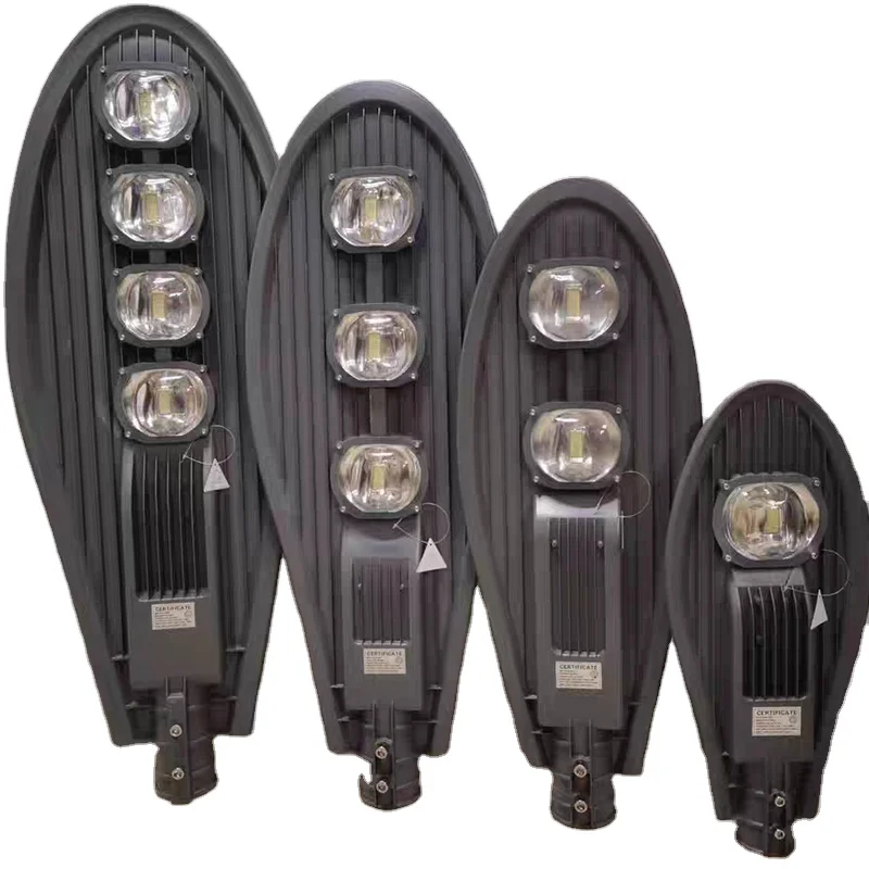 Outdoor Rural Park Light Control Lightning Protection and Waterproof Engineering LED Street Lamp 50W100W150W