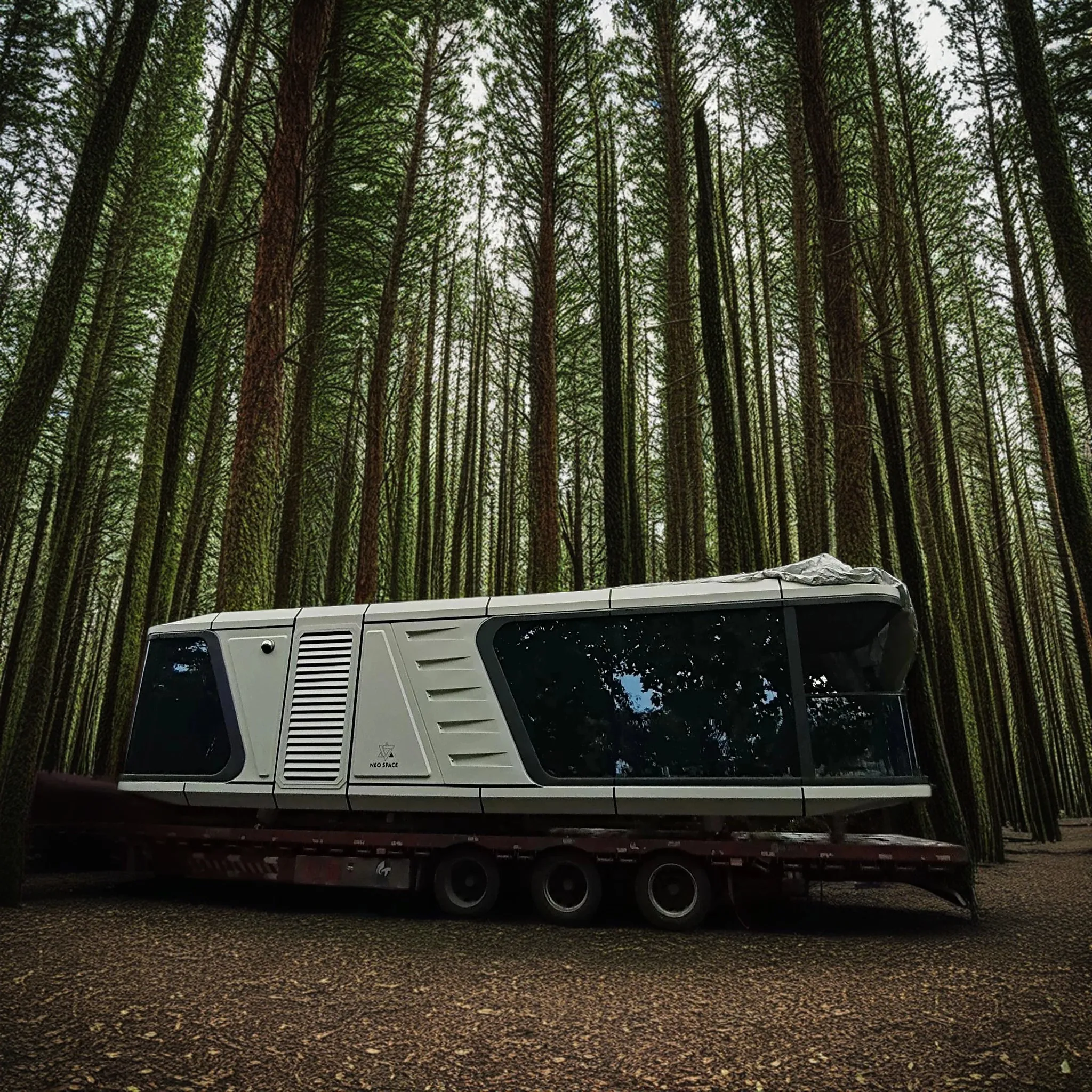 High-end luxury Space Capsule Model N01 Mobile Home Bed Hotel Cabin Prefabricated Modular Container Small Capsule Room