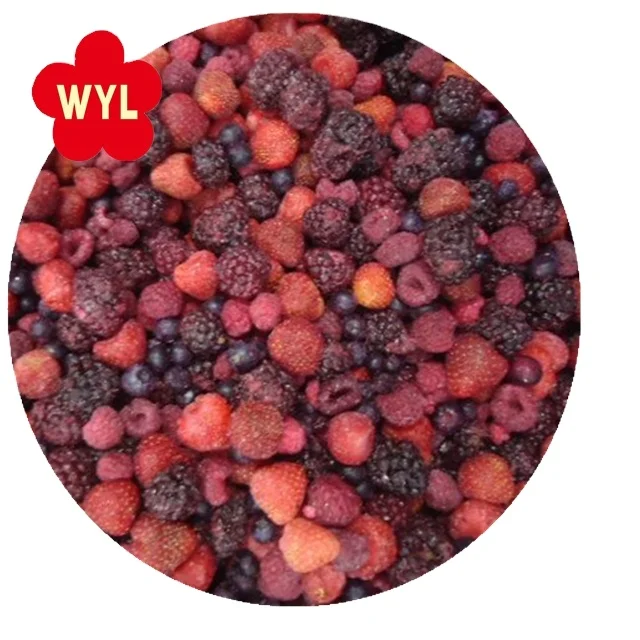 Premium IQF mixed berry raspberry /strawberry /blackberry /blueberry whole IQF MIXED BERRIES