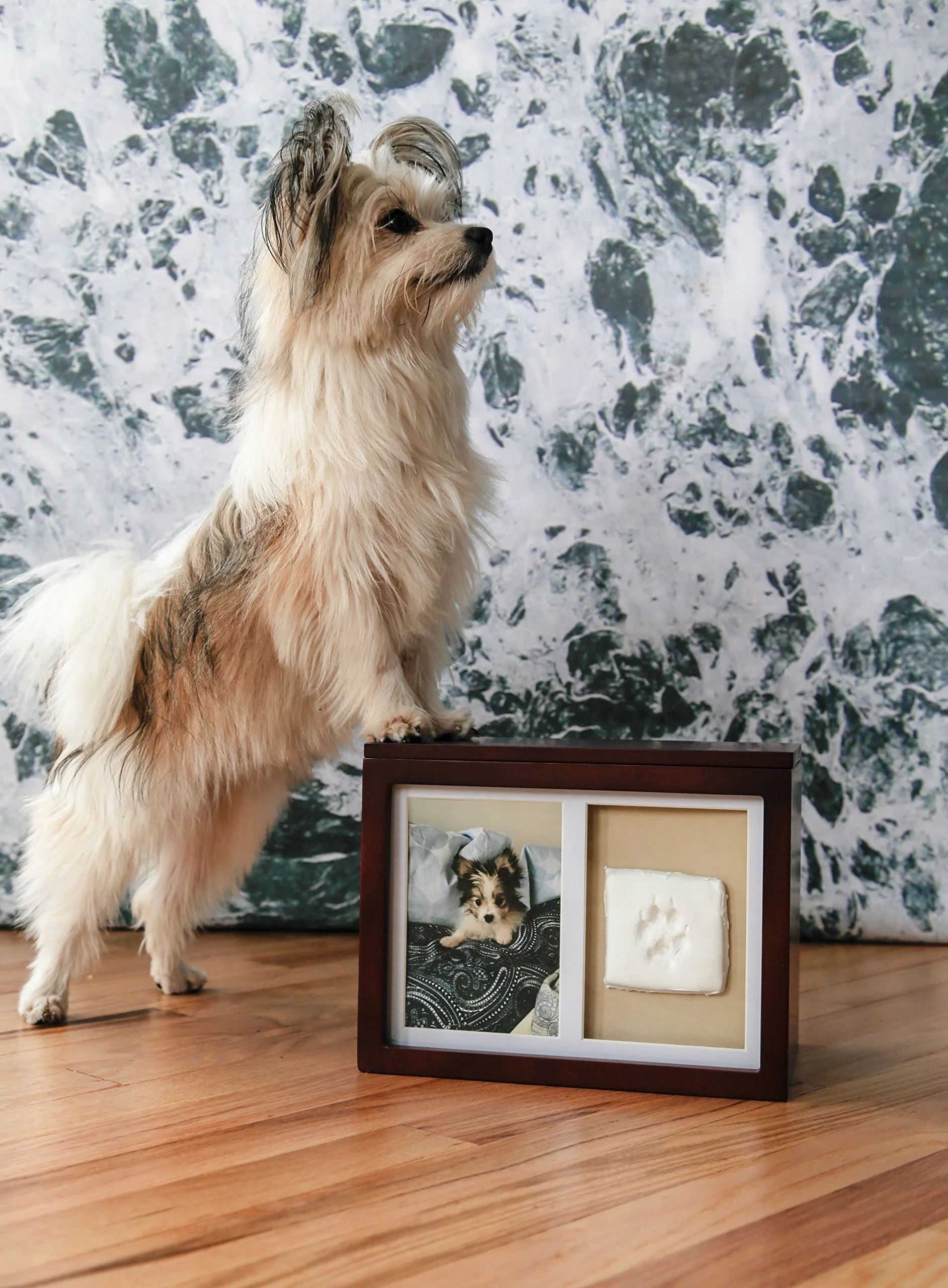 Фоторамка деревянные урны для домашних животных Кремация Cinerary Casket Caffin with Paw