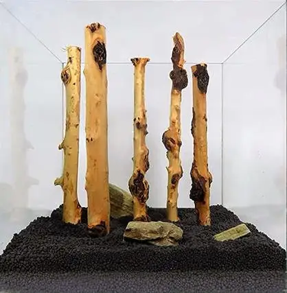 Natural forest branches aquarium wood decoration reptile habitat wood decoration fish tank lizard terrarium tree trunk branches