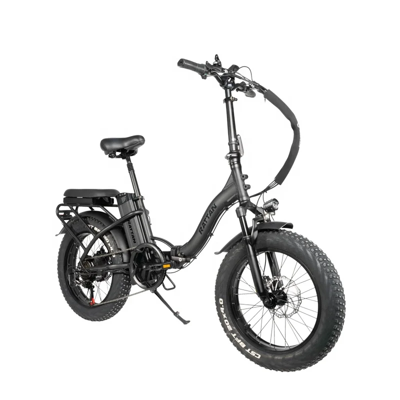 Rattan folding electric bike free shipping e bike 750 watt electric bicycle high speed israel electric bike