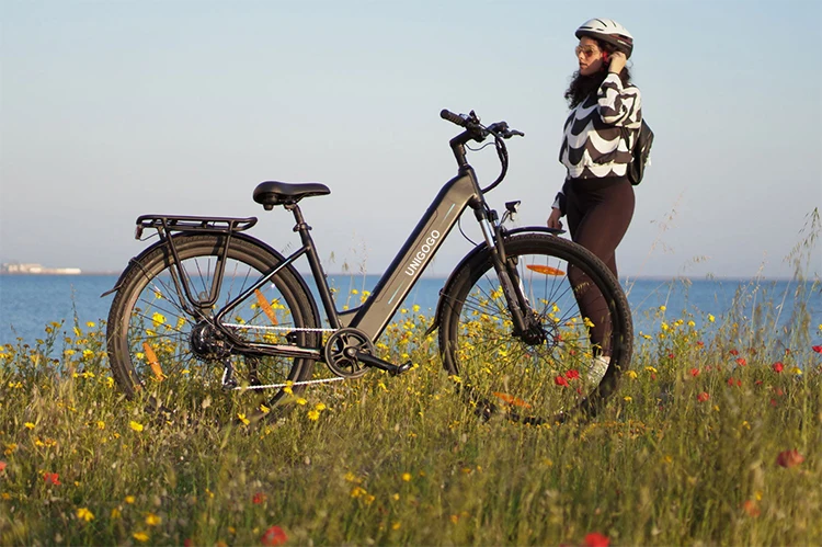 Unigogo Eu Free Duty Spring Shock Velo Electrique- Tout Kettle 45h Europe