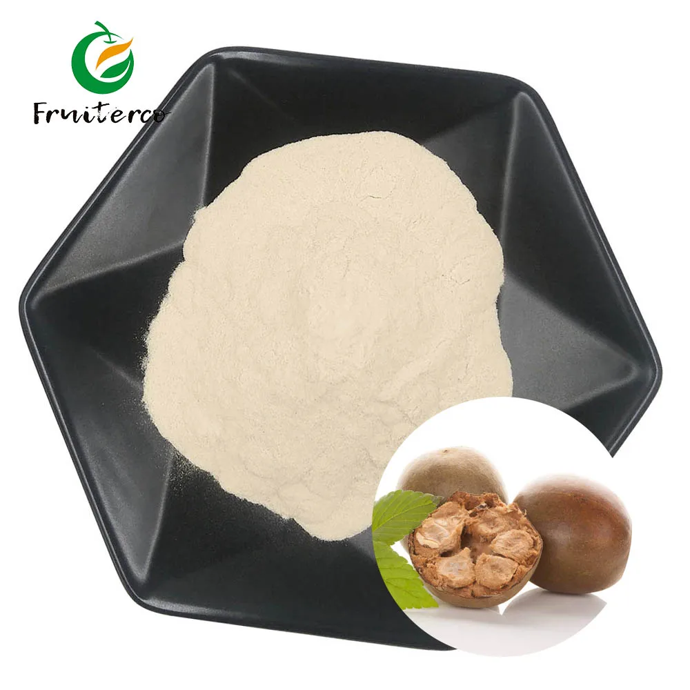 Siraitia Grosvenorii Monk Fruit Sweetener Mogroside V 25%-50% Luo Han Guo Extract Powder Monk Fruit Extract