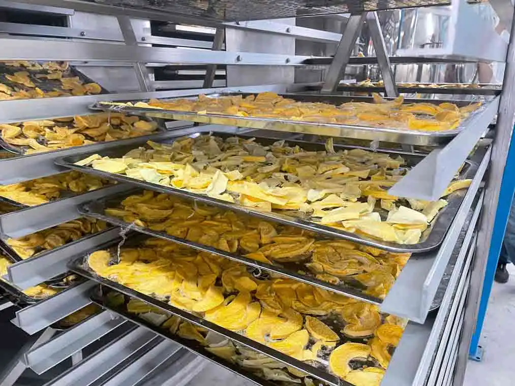 Лиофилизирующее оборудование для пищевых продуктов и овощей, лиофилизатор, сушилка для замораживания, цена