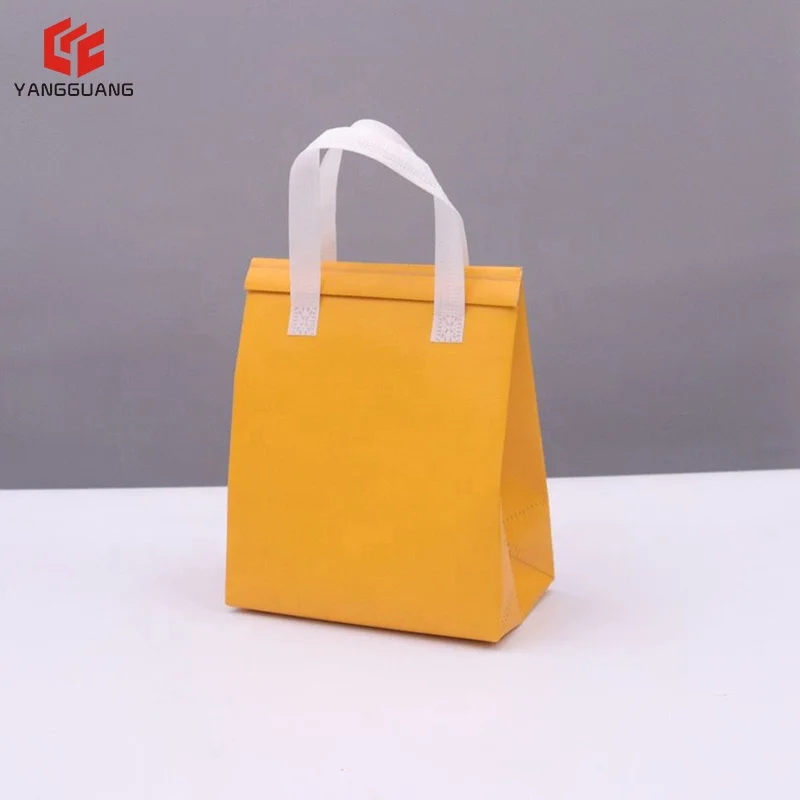 Free Sample Top Quality Customized New Insulated Tote Lunch Beach Cooler Bag with Closure