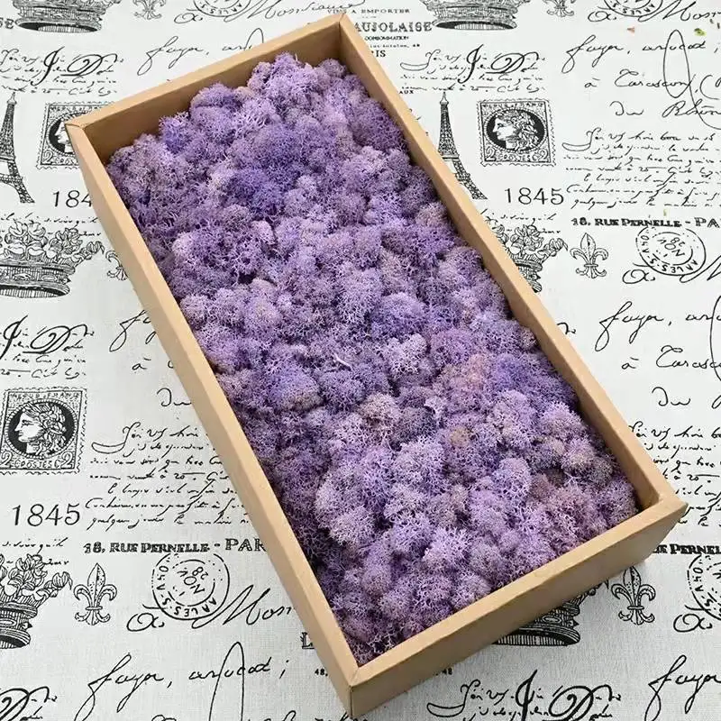 Hot Selling Stabilized Preserved Lichen Reindeer Moss for decoration flower wall Preserved  Moss
