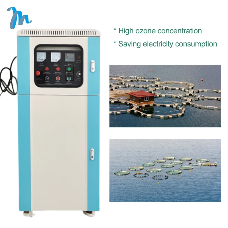 Good effect oxygen concentrator ozone generator for swim pool water treatment price