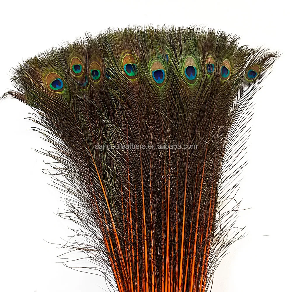 Wholesale orange peacock feather direct dyed peacock feather  carnival peacock clothes