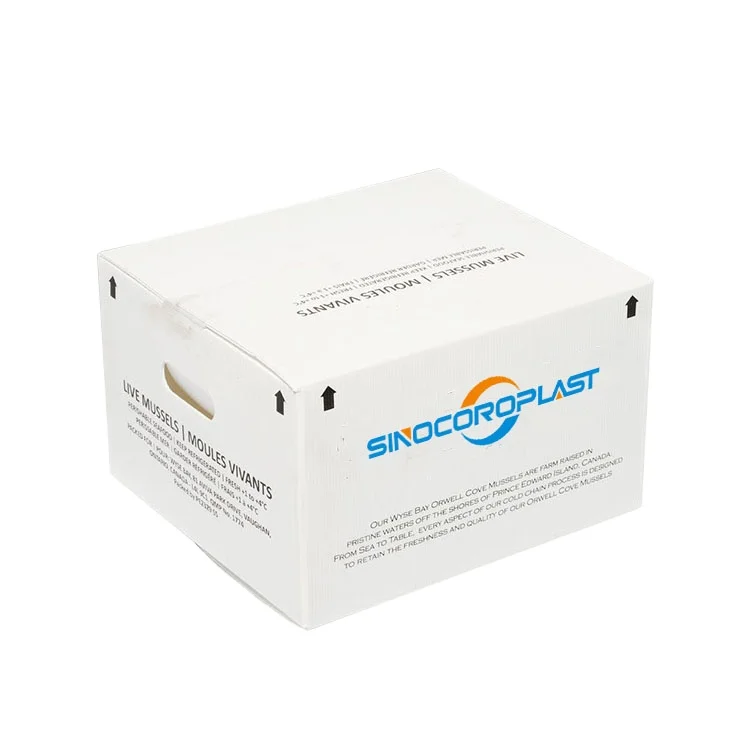 PP Coroplast Box PP Plastic Corrugated Sheet Correx PP Hollow Plastic large moving Packing Box