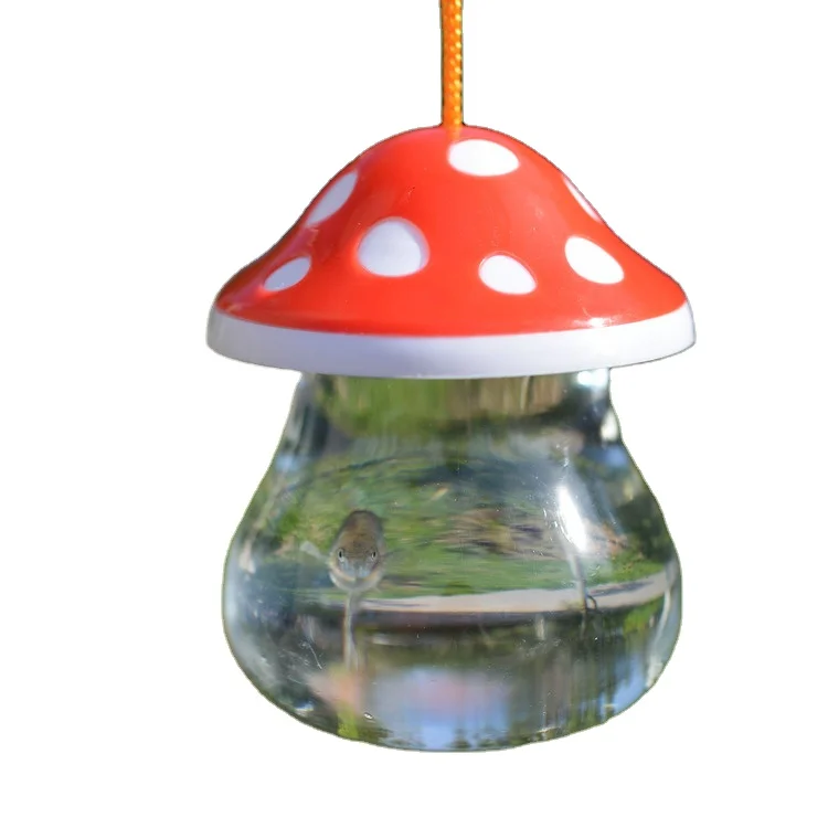 Betta Cup Jellyfish Cup Betta Fish Tank Mini Small Transparent Plastic with mushroom Cup Fish Tank