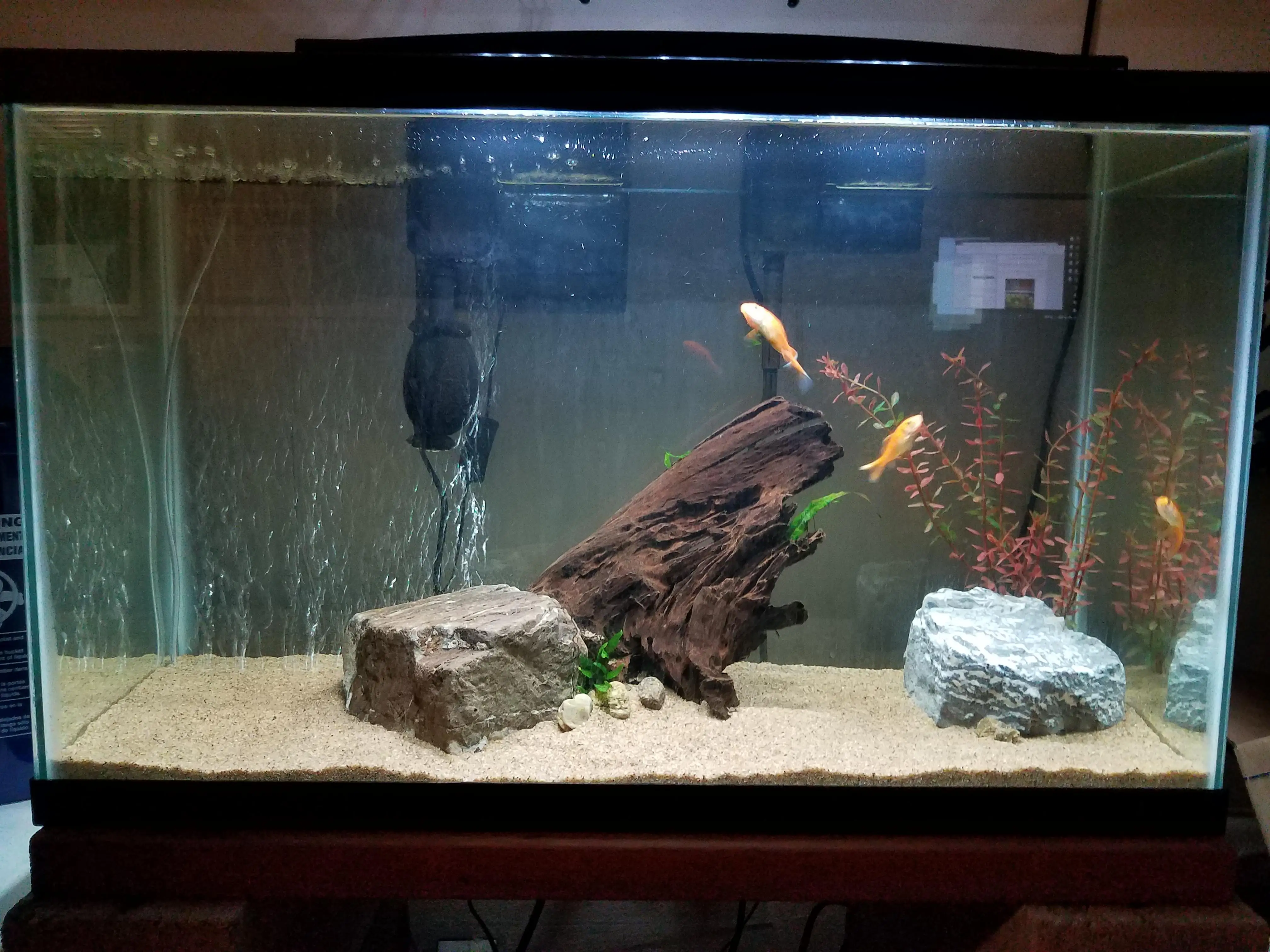 Aquarium Driftwood Natural Polished Sinkable Sunken Wood Fish Tank Landscaping Driftwood