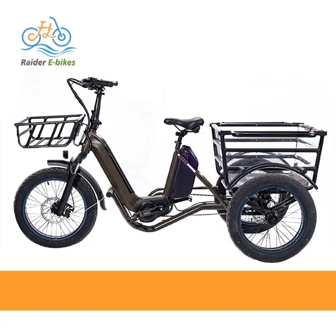RaiderTrike-C202 долговечные трехколесные съемные аккумуляторные педали