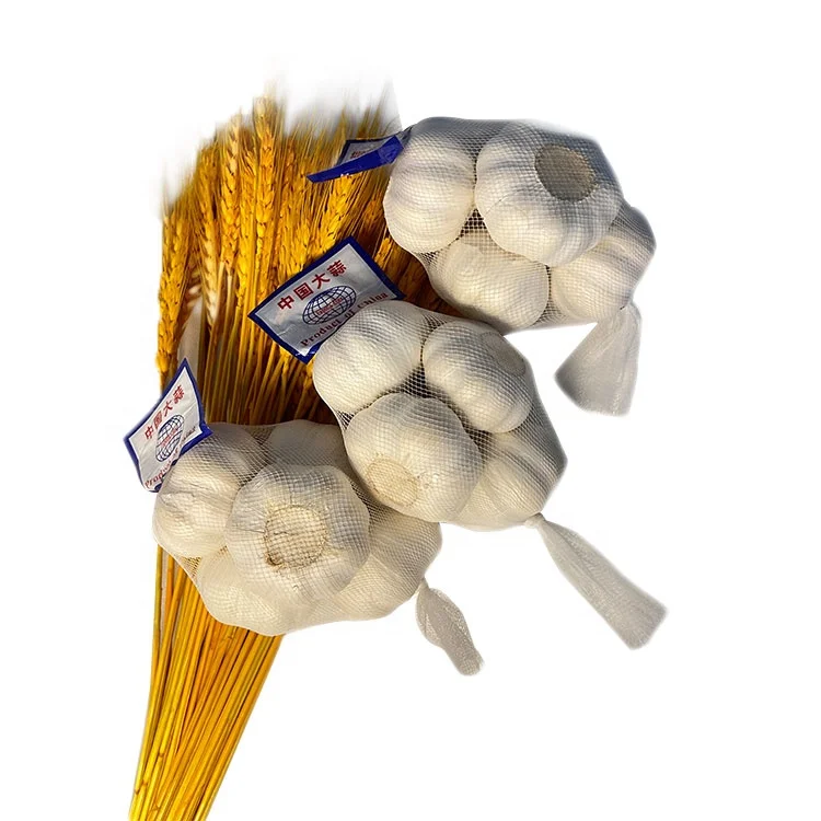 Size 5.5cm-6.0cm China shandong white garlic China factory wholesale price