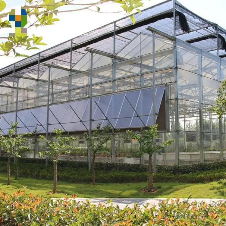Tempered Fiberglass Greenhouse  Multi Span  Venlo Greenhouse Climate Control Greenhouse For Sale