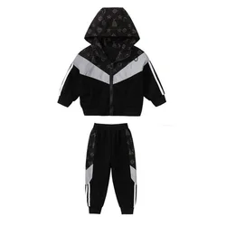 Fall Children Wear Fashion Sports Wear Boys Clothing Sets Hooded Jacket Pants 2Pcs Kids Clothing