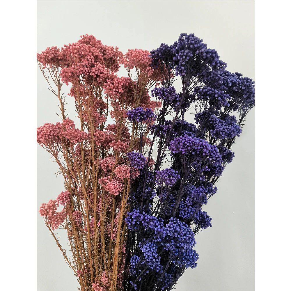 China wholesale decorative dried flowers and plants technology low price preserved rice flower for home events wedding decor