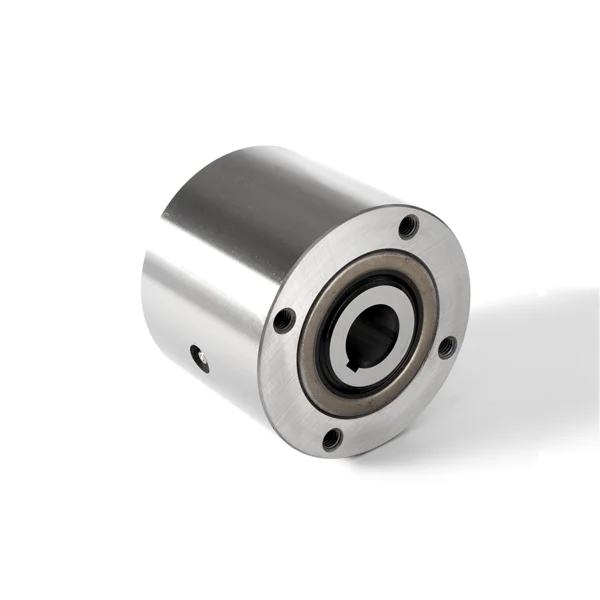 MZ20 Sprag Type One Way Clutch Backstop Bearing