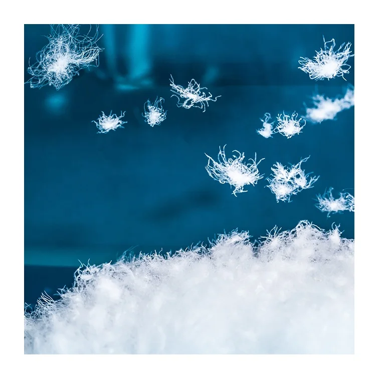 Low Price Moisture Proof Down Jacket Coat Jacket Filling Material 95% Pure White Goose Down