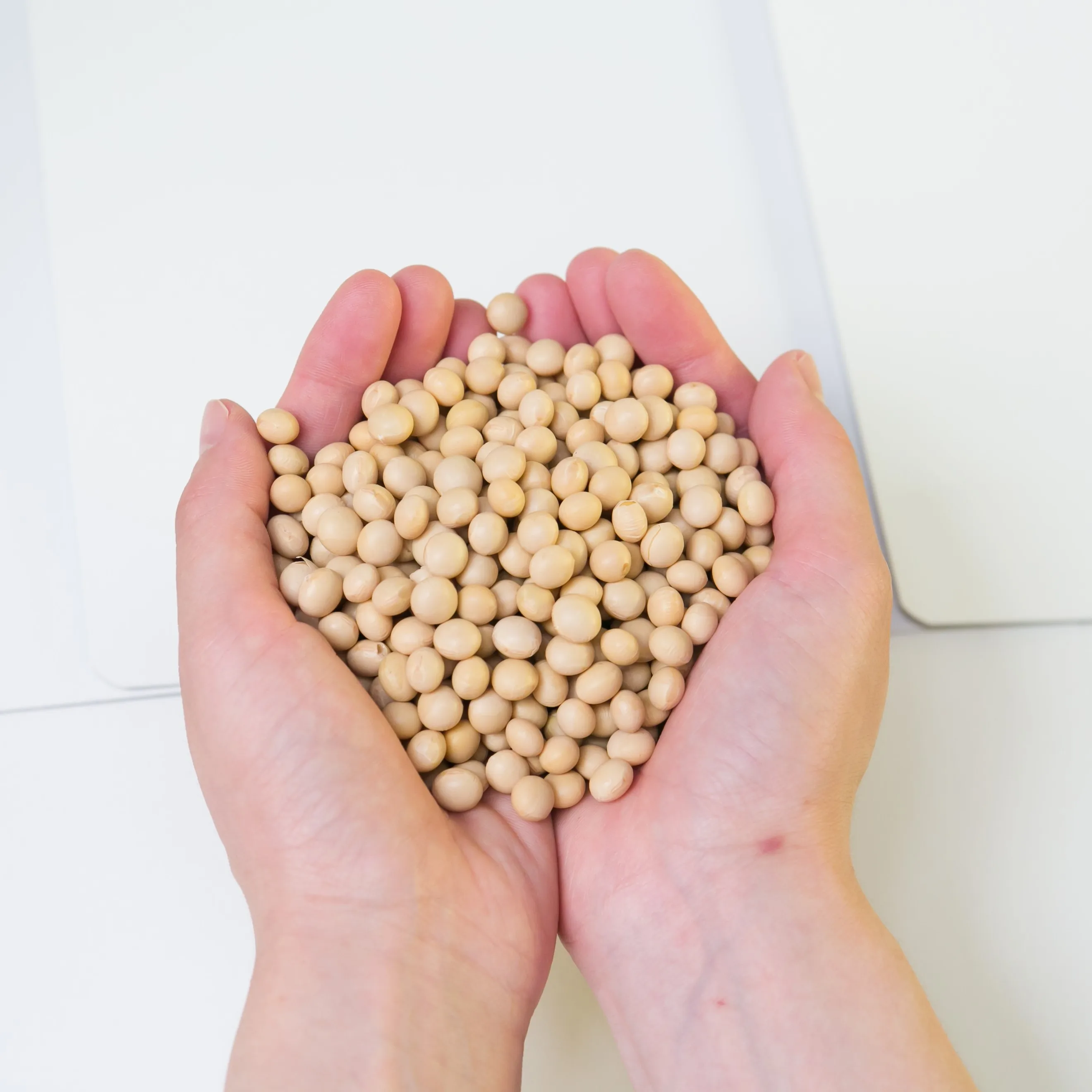 Hokkaido umami ingredients sweetness protein other bean products