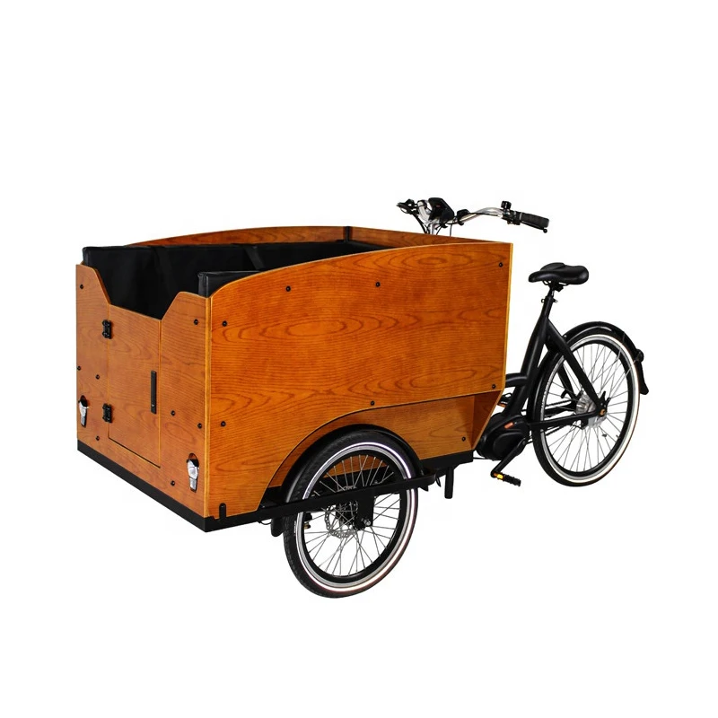 3 wheel cargo bicycle electric mid motor electric cargo bicycle for sale