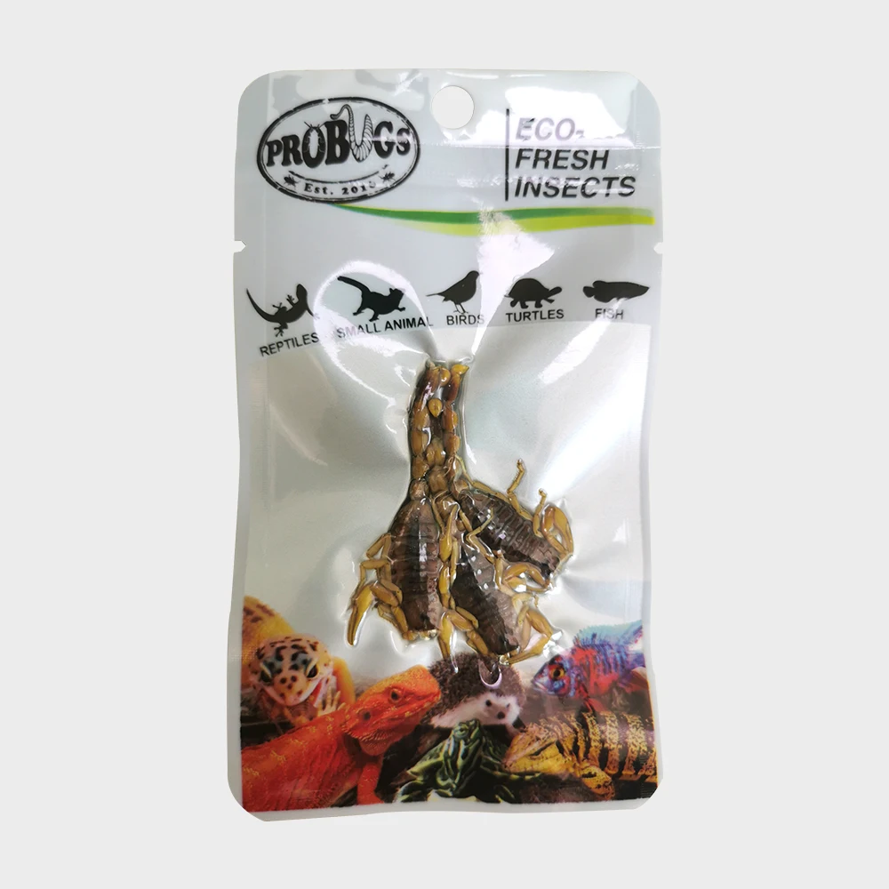 Корм для домашних животных, эко свежий Скорпион, насекомое, белок, пищевой Скорпион для домашних животных