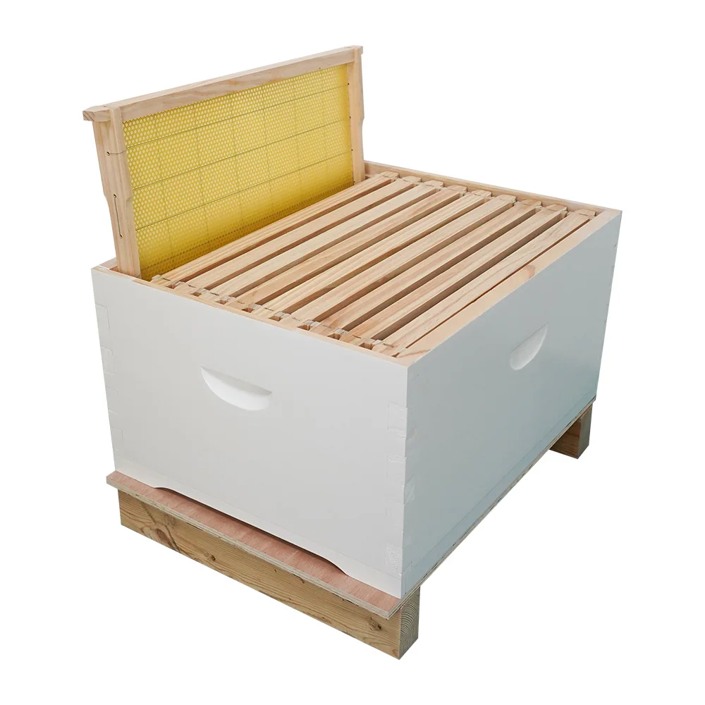 Australian Bee Hive Complete
