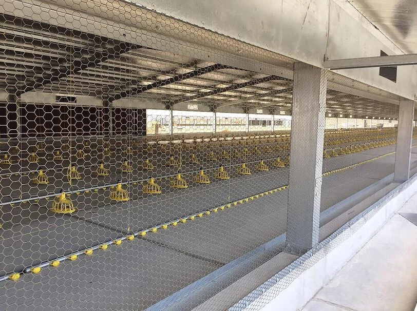 Full Auyomatic System Egg Layer Poultry House Design for Chicken Farm