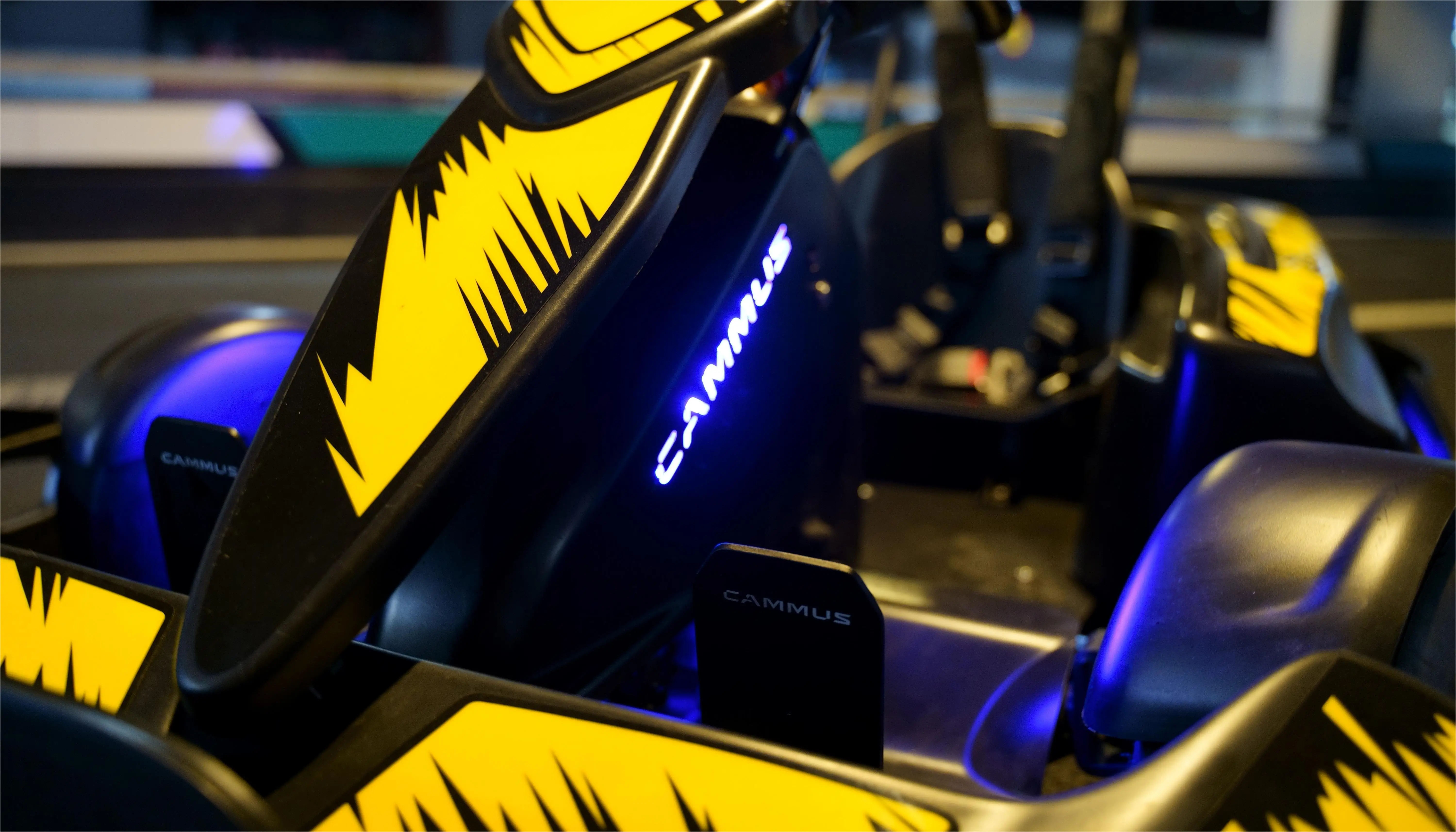 CAMMUS Pure Electric Commercial Kart Suitable for Adults