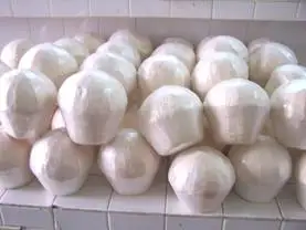 Coconut Fresh 2020  in VietNam