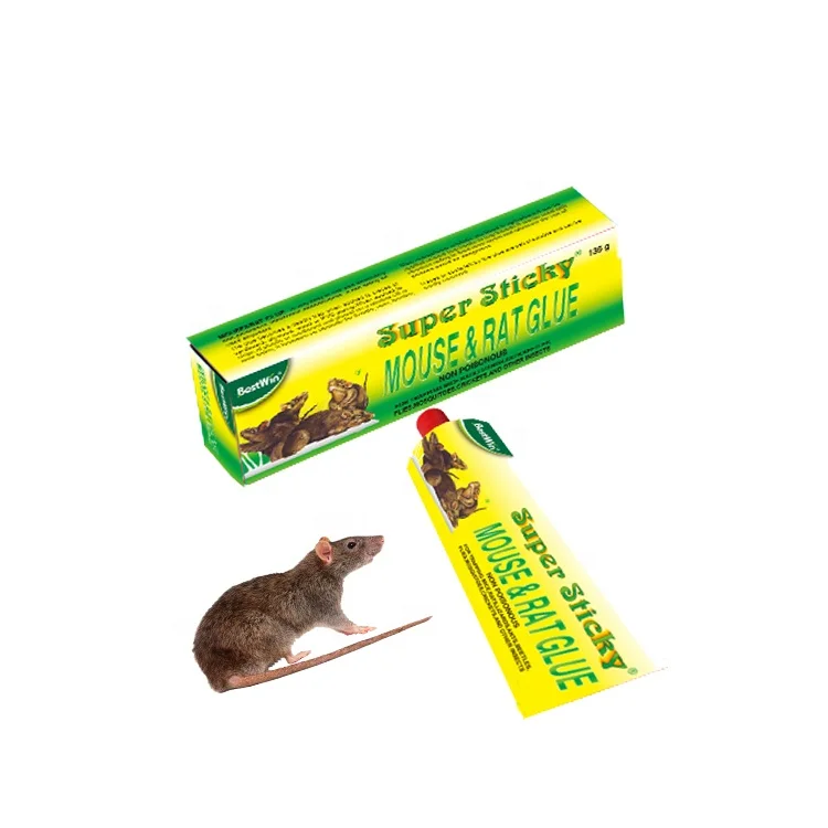 NEW Household rat controller for pheromone mouse tube trap