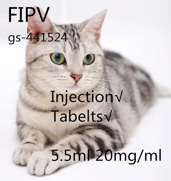 
FIPV Consulting Service for FIPV Cat Prevention 