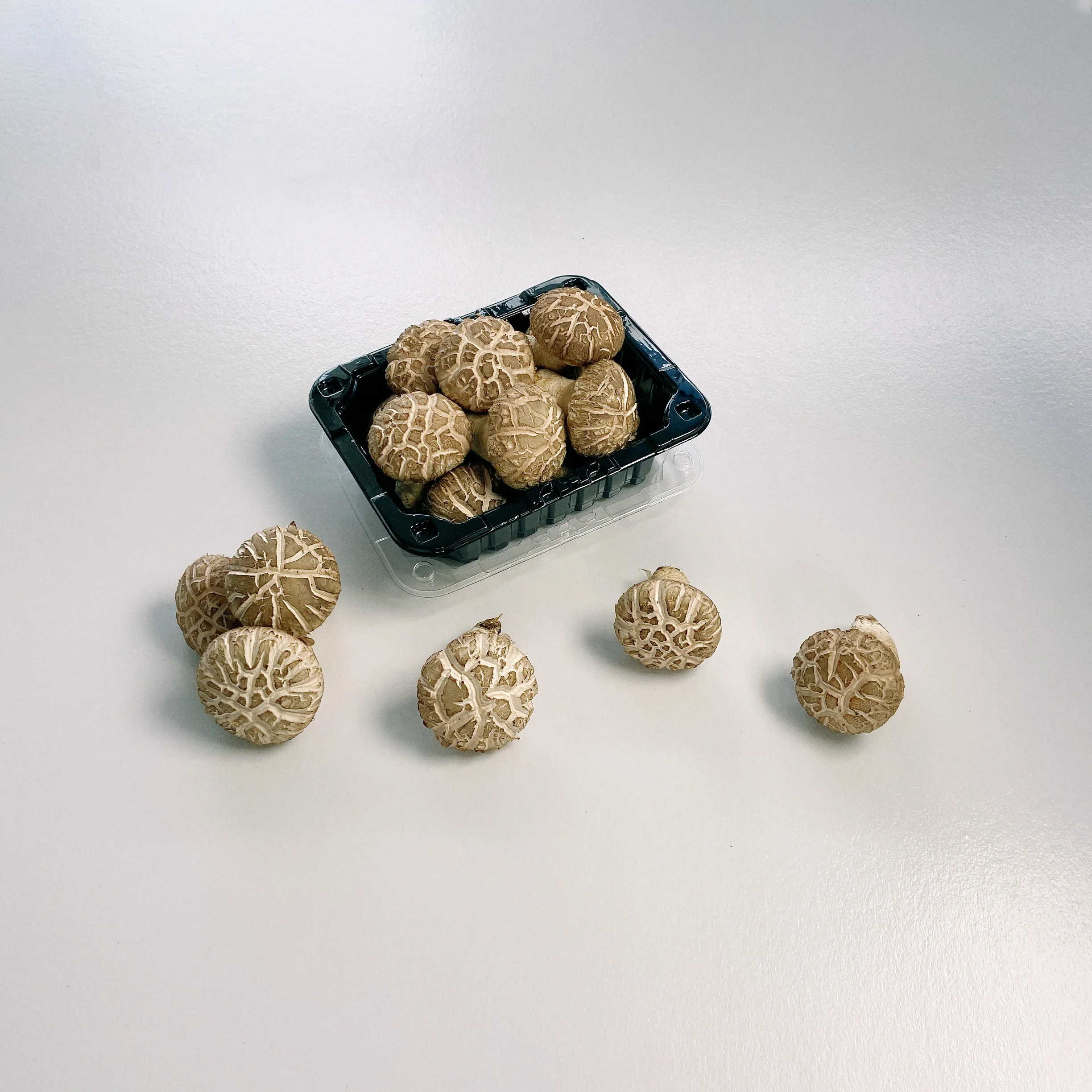 Высококачественные выбранные свежие сушеные грибы Хуа шиитаке