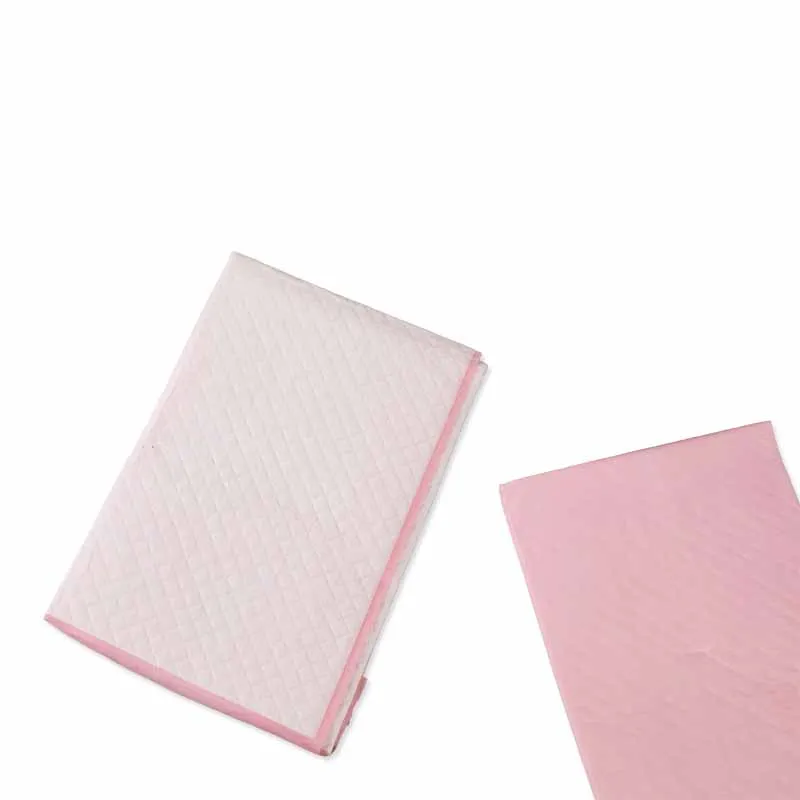 
Basics Dog and Puppy Pads, Leak-proof 5-Lay dog pee pads 