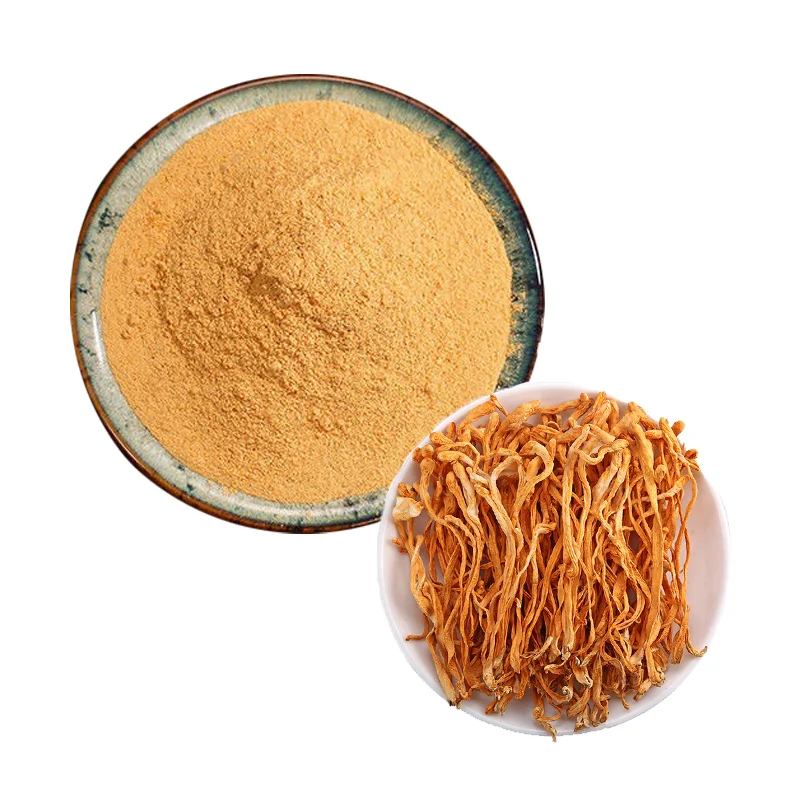 Wholesale Price Organic Cordyceps Militaris Mushroom Fruit Body Extract Powder Cordyceps Militaris Extract