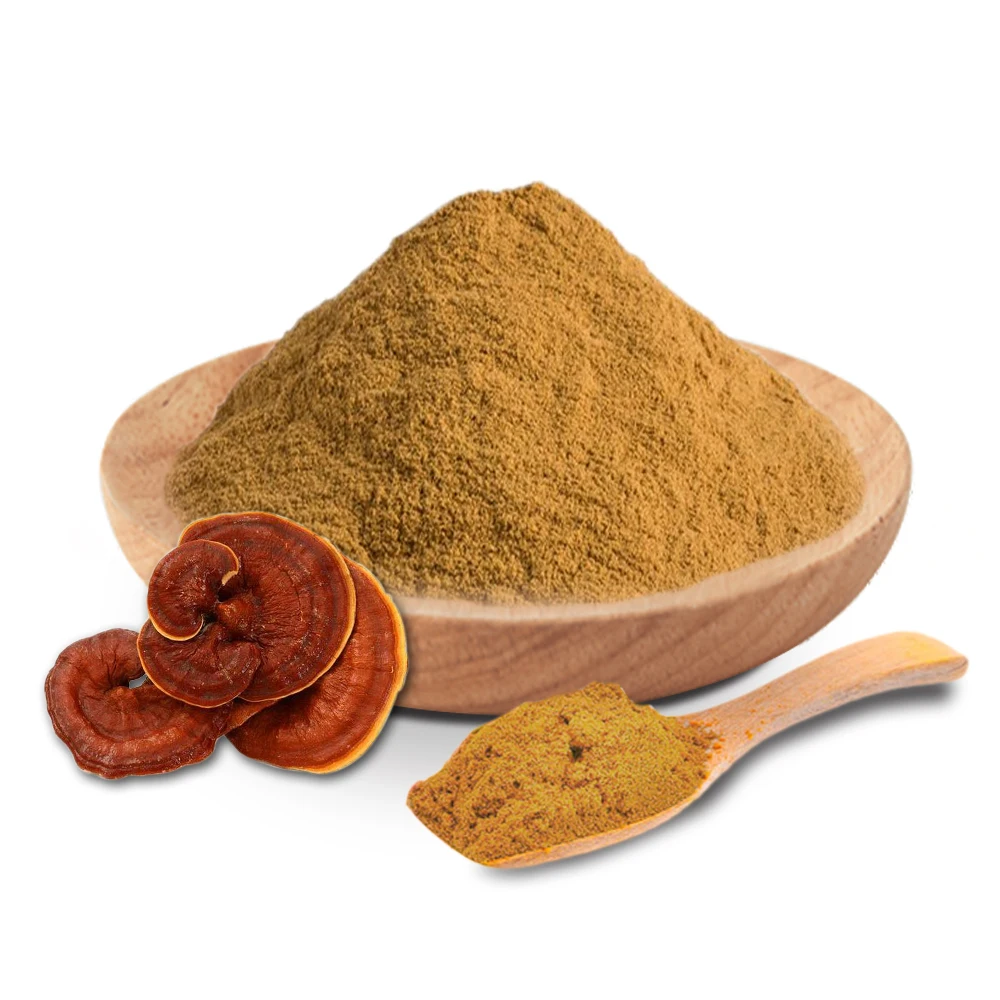 Pure Excellence: Organic Ganoderma Lucidum Extract from OEM Factory