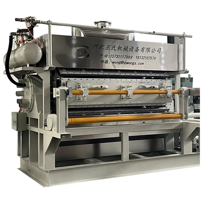 Wongs 7000 Pcs/hr Full Automatic Biodegradable Packaging Paper Eggs Carton Tray Making Machine