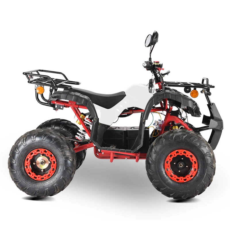 2000w adults electric quad bike with eec coc certificate