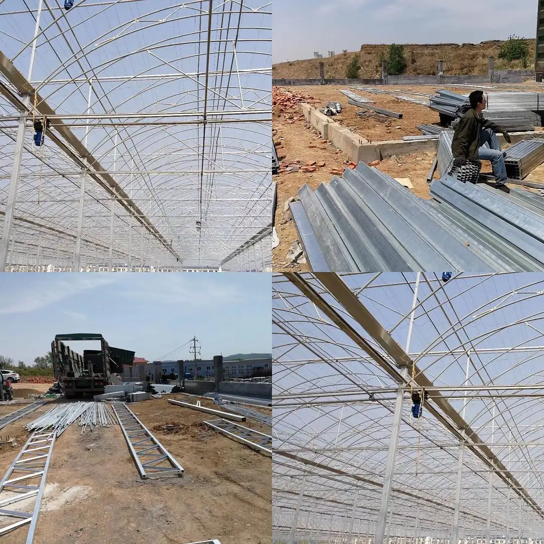 Large Commercial Greenhouses Agriculture Greenhouse